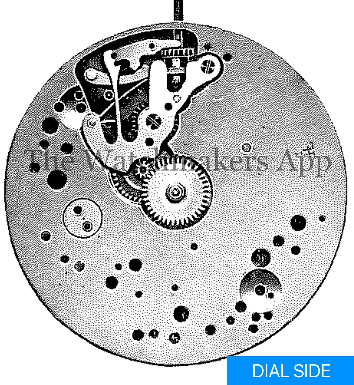 FHF 33, 16.5''' open face