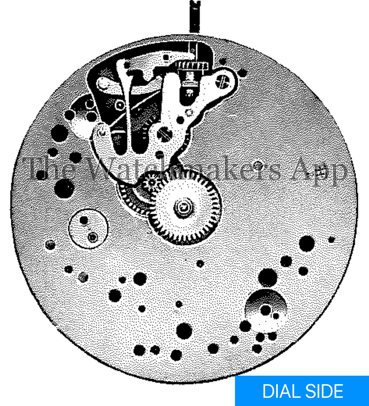 FHF 36, 17''' open face