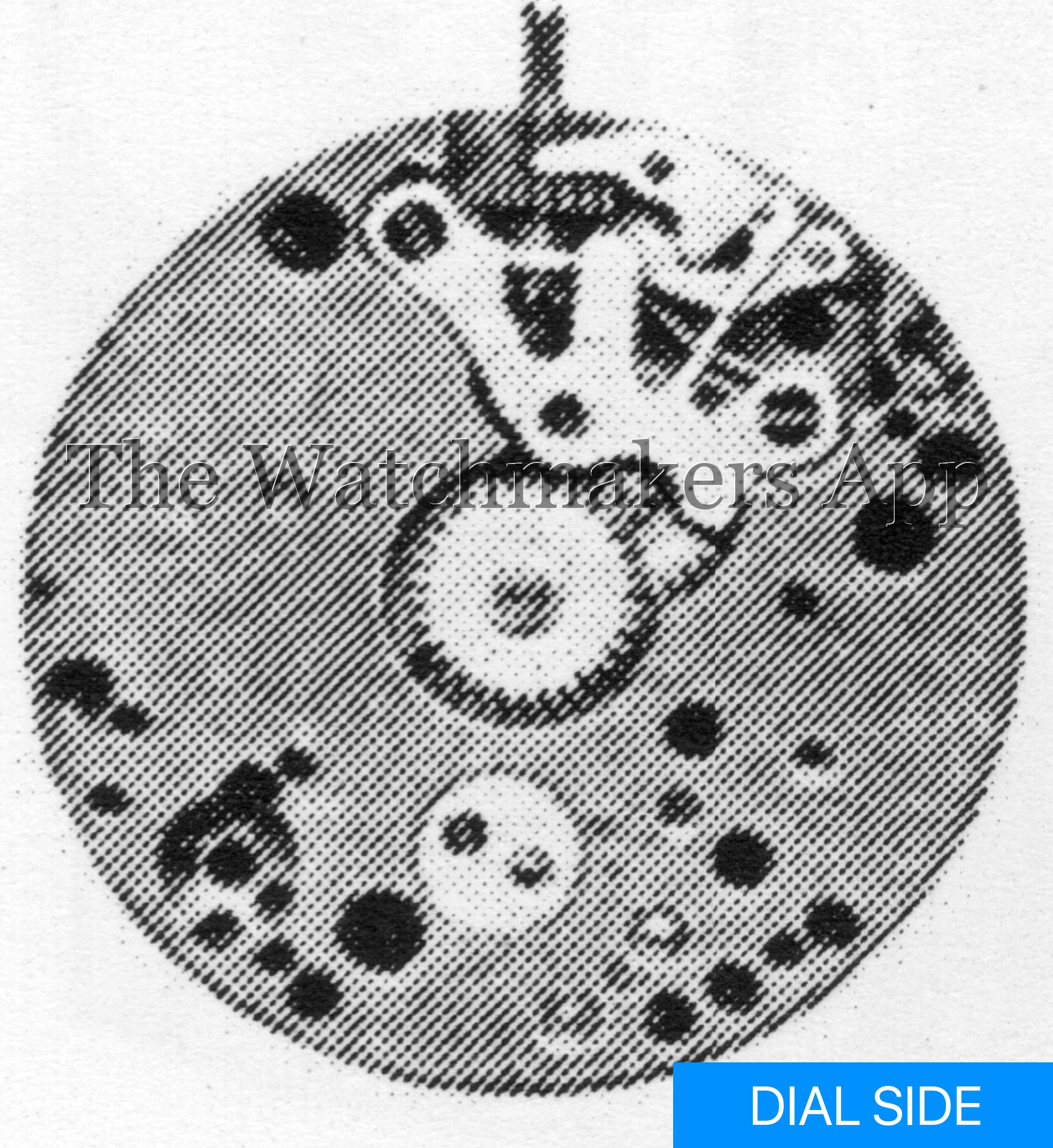 FHF 46, 8.75''' H3.2