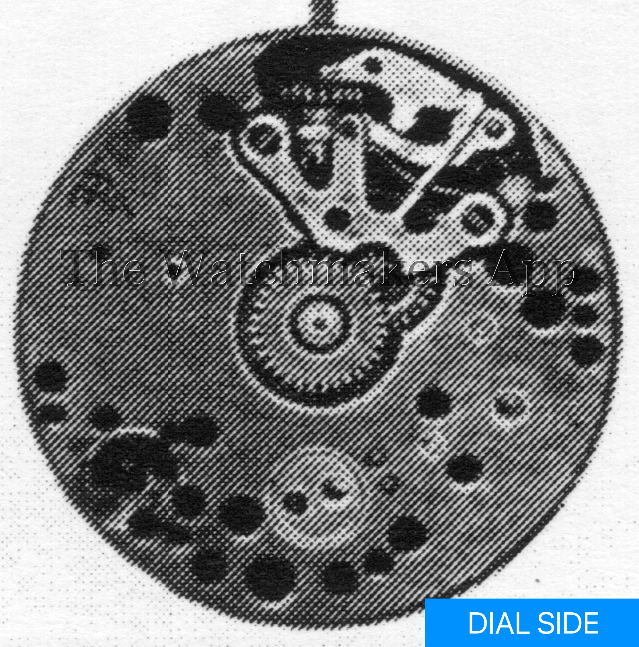 FHF 6, 9.75''' H3.75