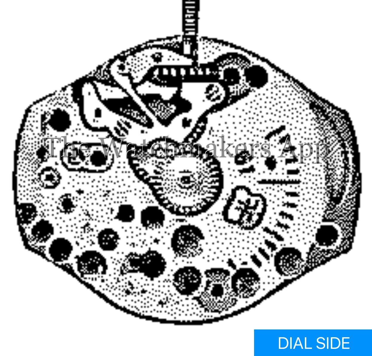 FHF 61