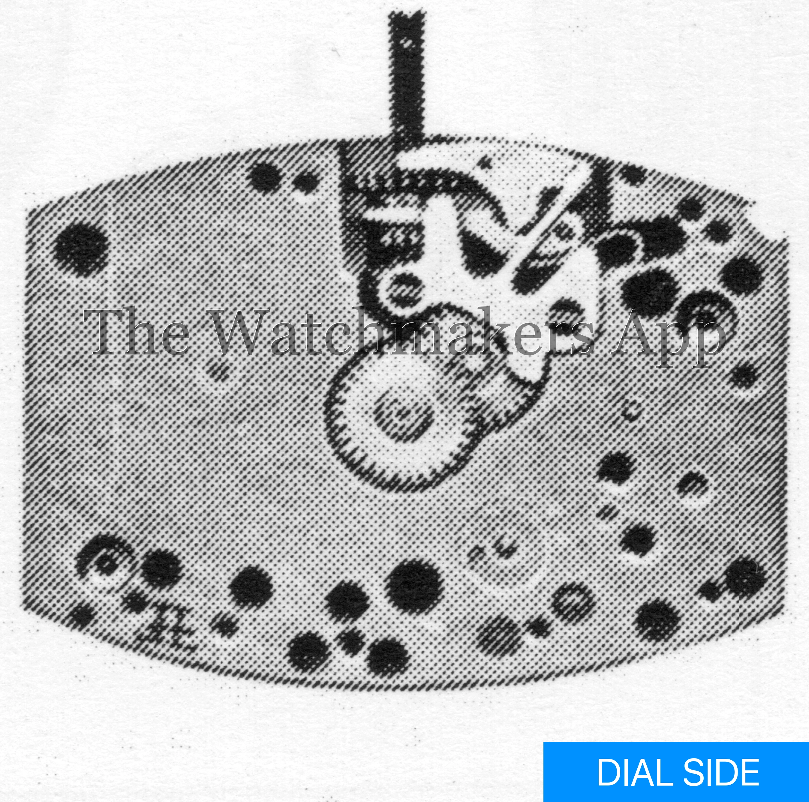 FHF 8244, 8.75 x 12''' H3.29