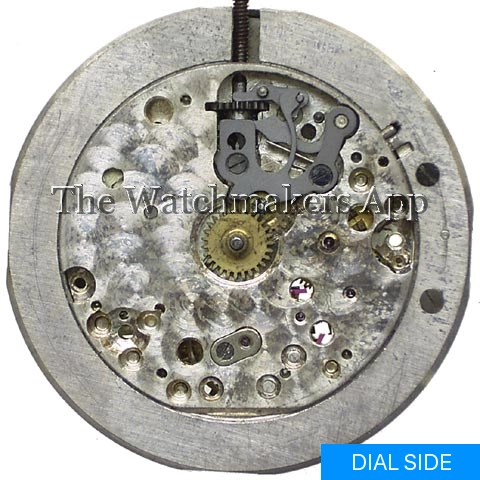 Glycine Eugene Meylan