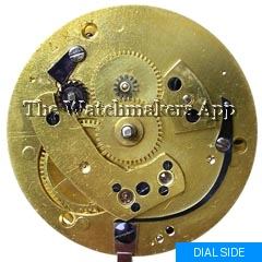 Grimalde & Johnson 18.5