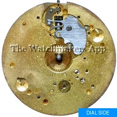 Moeris 17'''D hunter