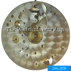 Moeris 19'''D open-face