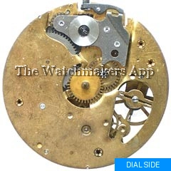 Müller-Schlenker 1 new