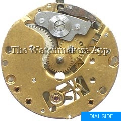 Müller-Schlenker 14