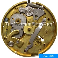 Müller-Schlenker 21