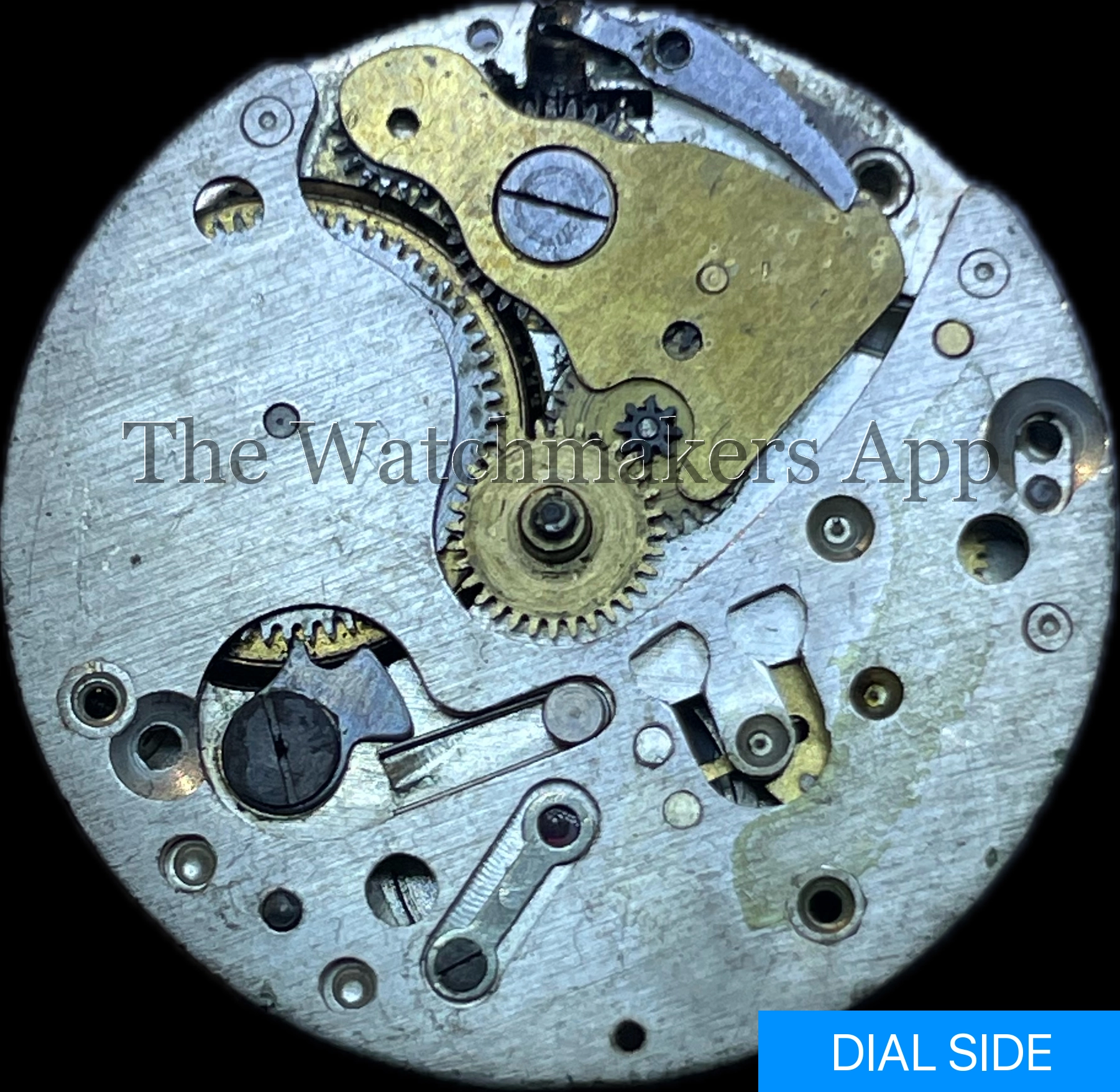 Oris 260