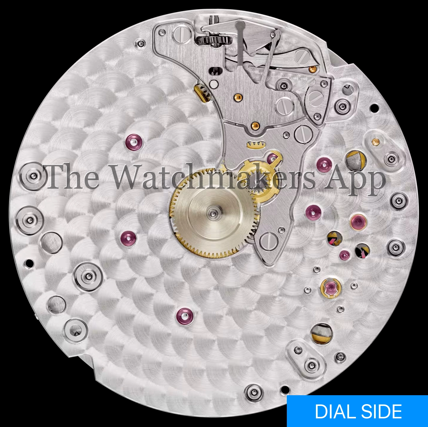 Patek Philippe 30-255 PS