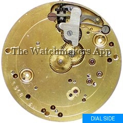 Perfecta 18.5'''H4.9