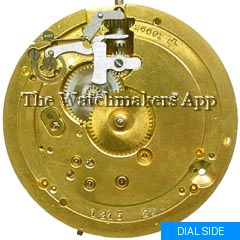 Perfecta 18.5'''H6.6