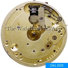 Perfecta 18.5'''H6.9