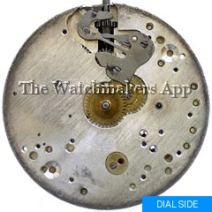 Pierce Rajah hunter (Rayah)