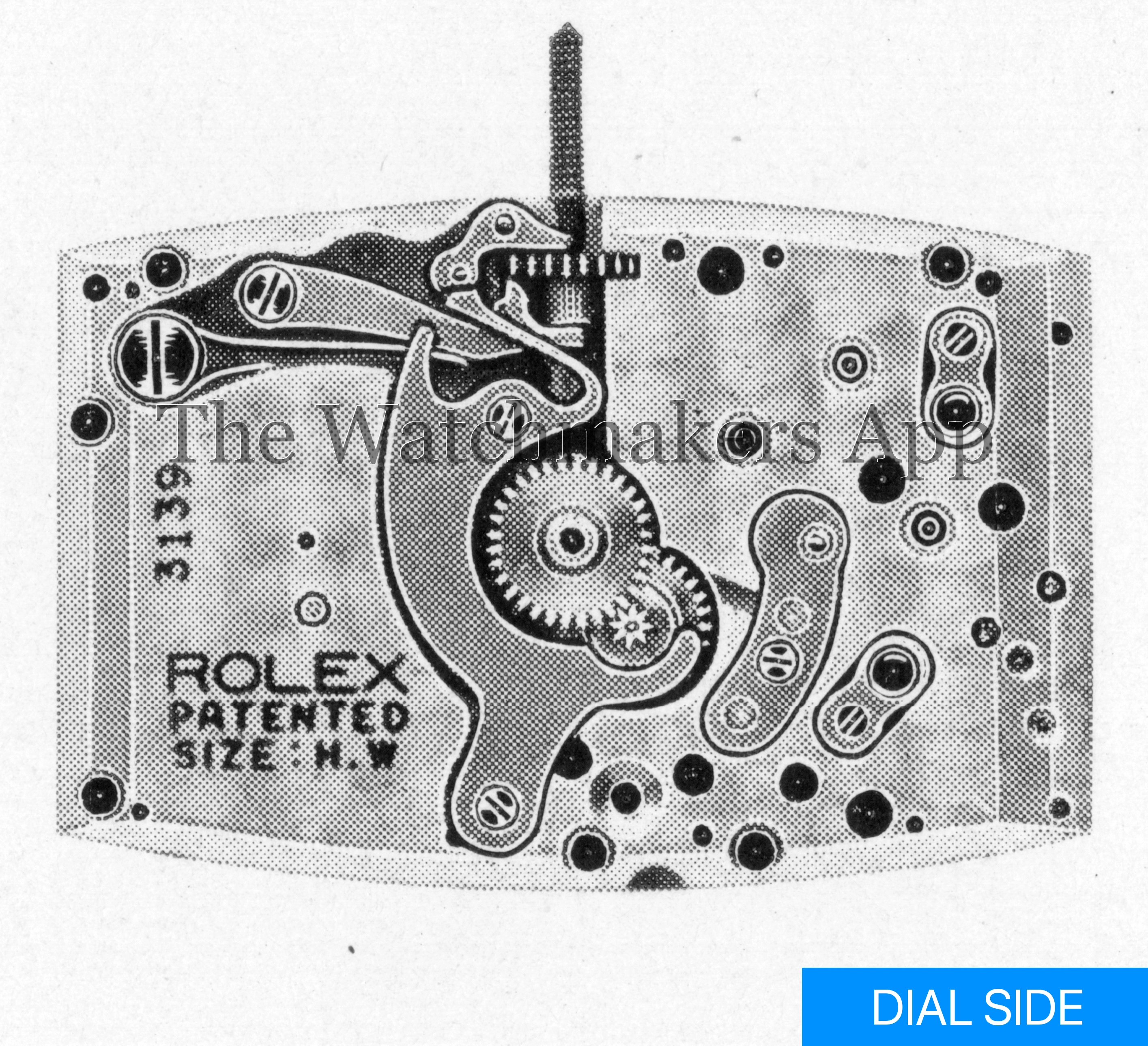 Rolex 360