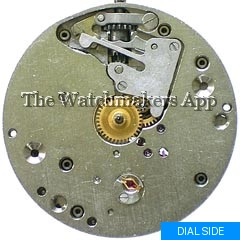 Спортивные (41M)