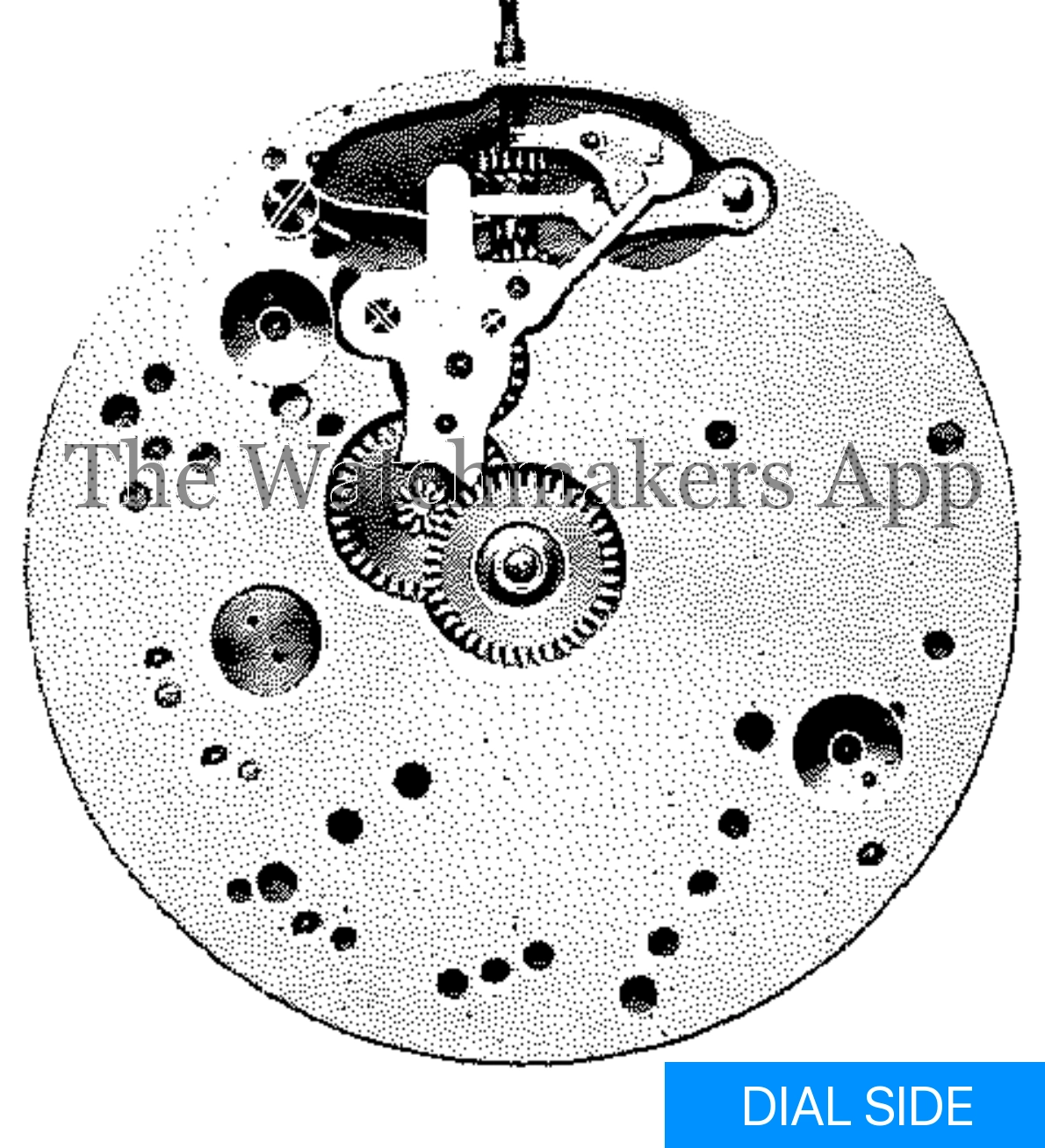 Venus 133, 17''' H3.85