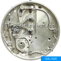 Златоуст 4289