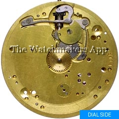 Alpina 228