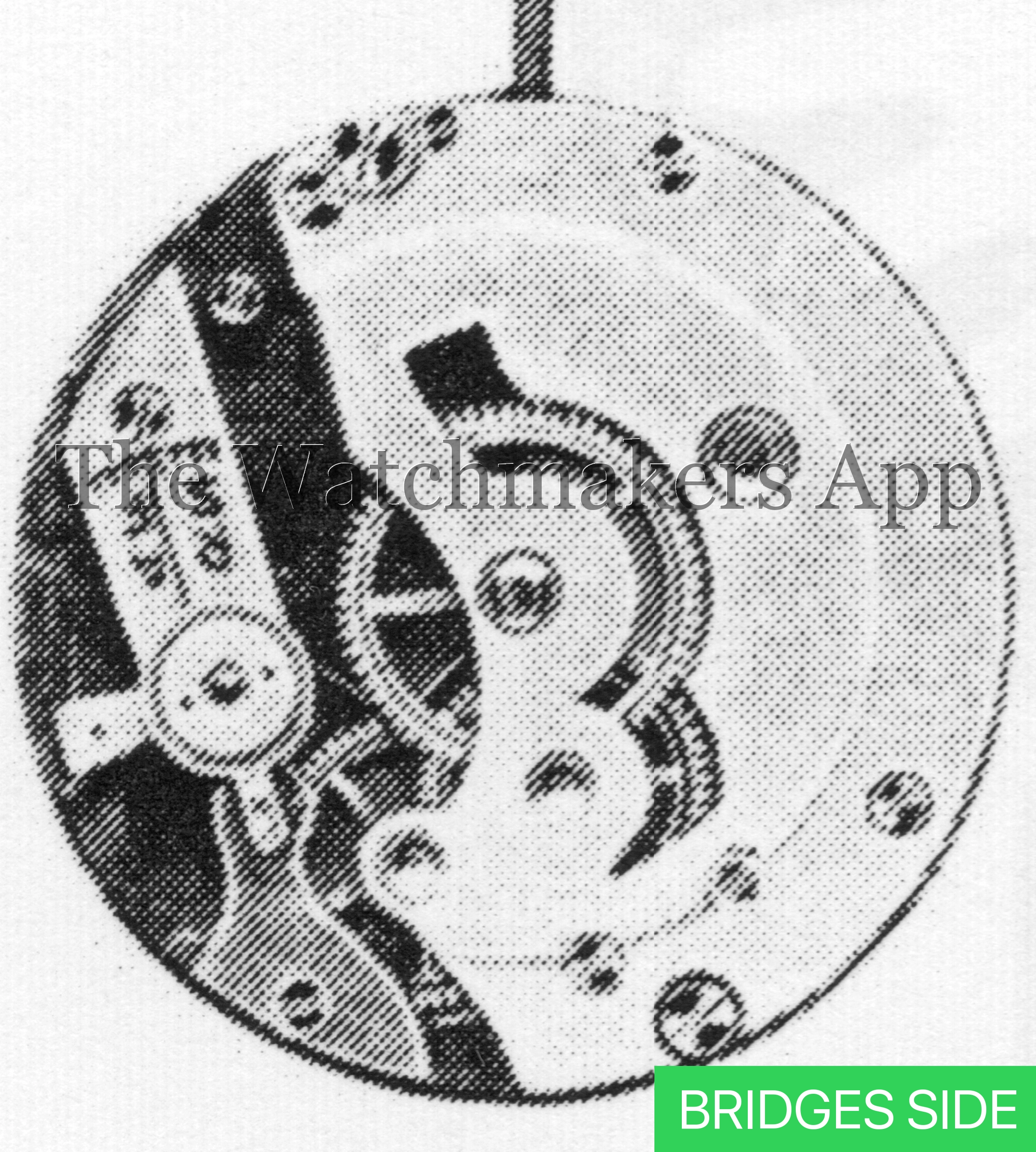 AS 111 3/4 plat.