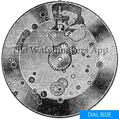 AS 1626