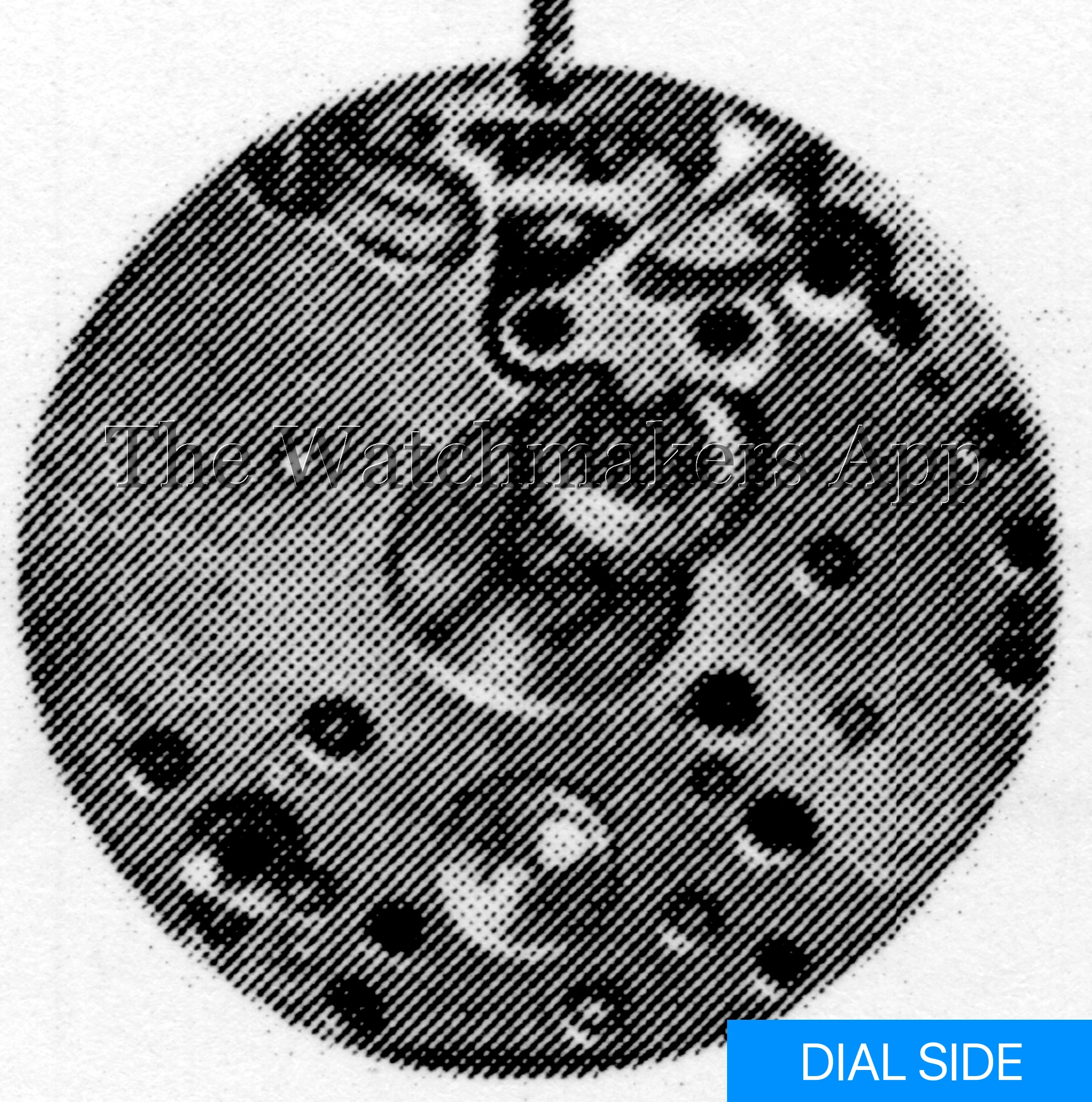 Berger 15