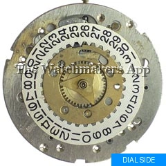Brac 203