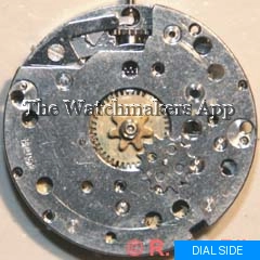 Brac 510