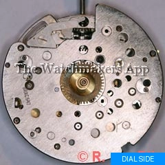 Brac 547