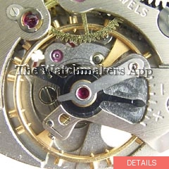 Cyma 488