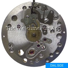 Durowe 441