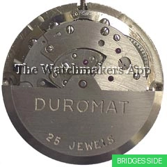 Durowe 590