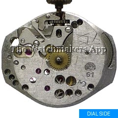 Durowe 61