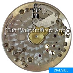 Ebel 120
