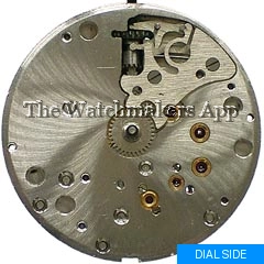 Elgin 531