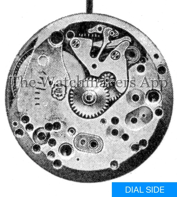ETA 1019