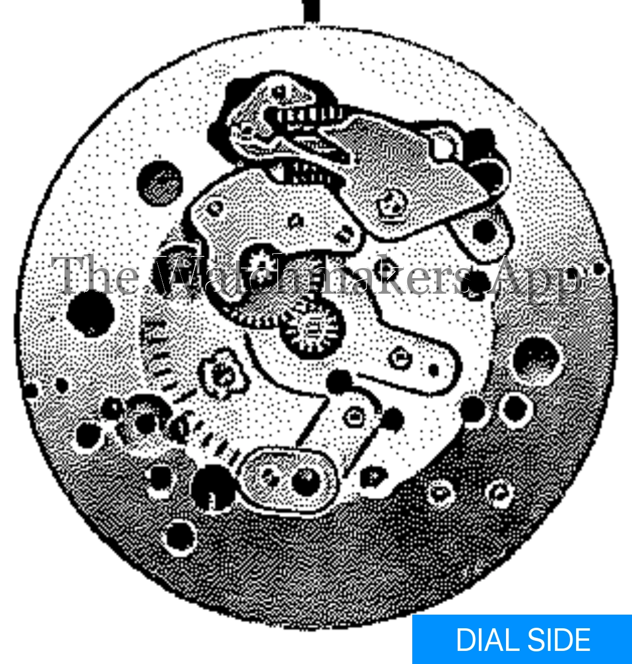 ETA 1081