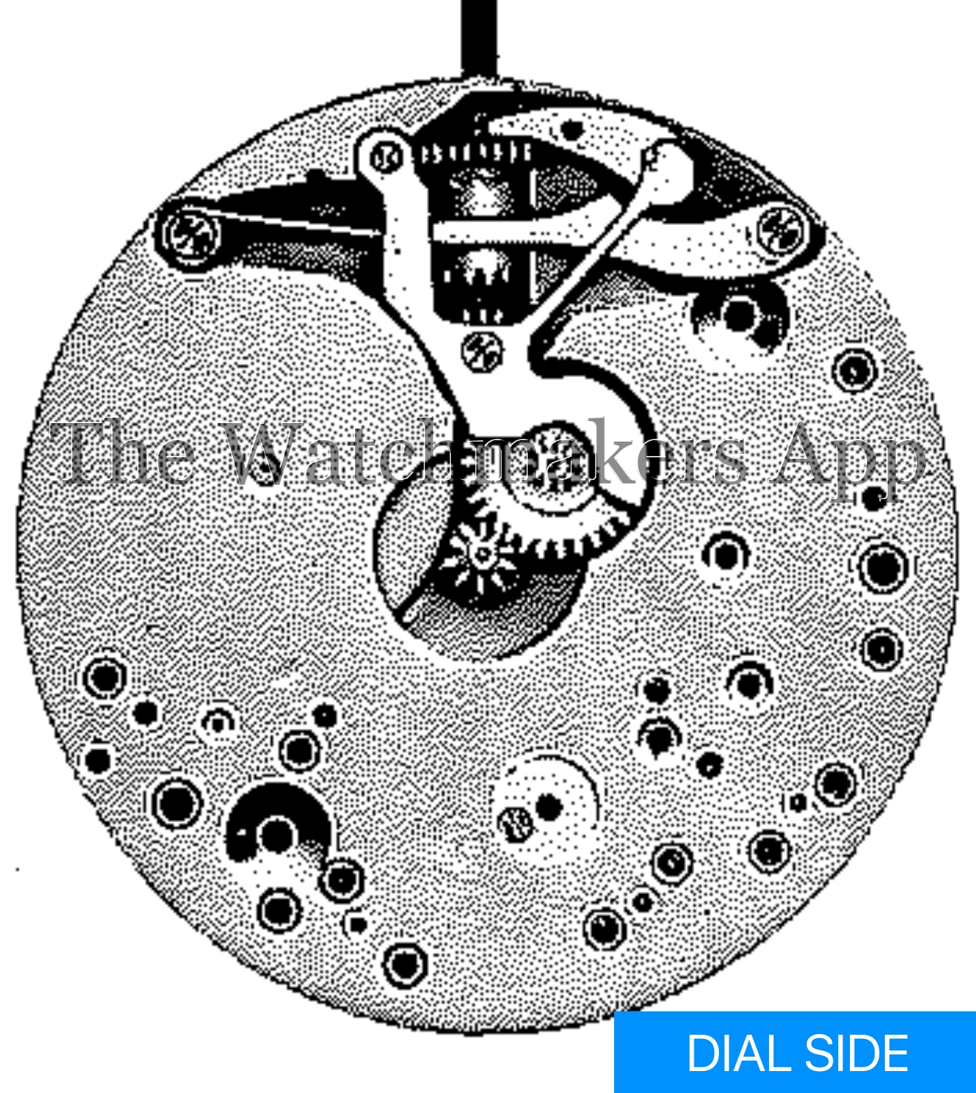 ETA 176