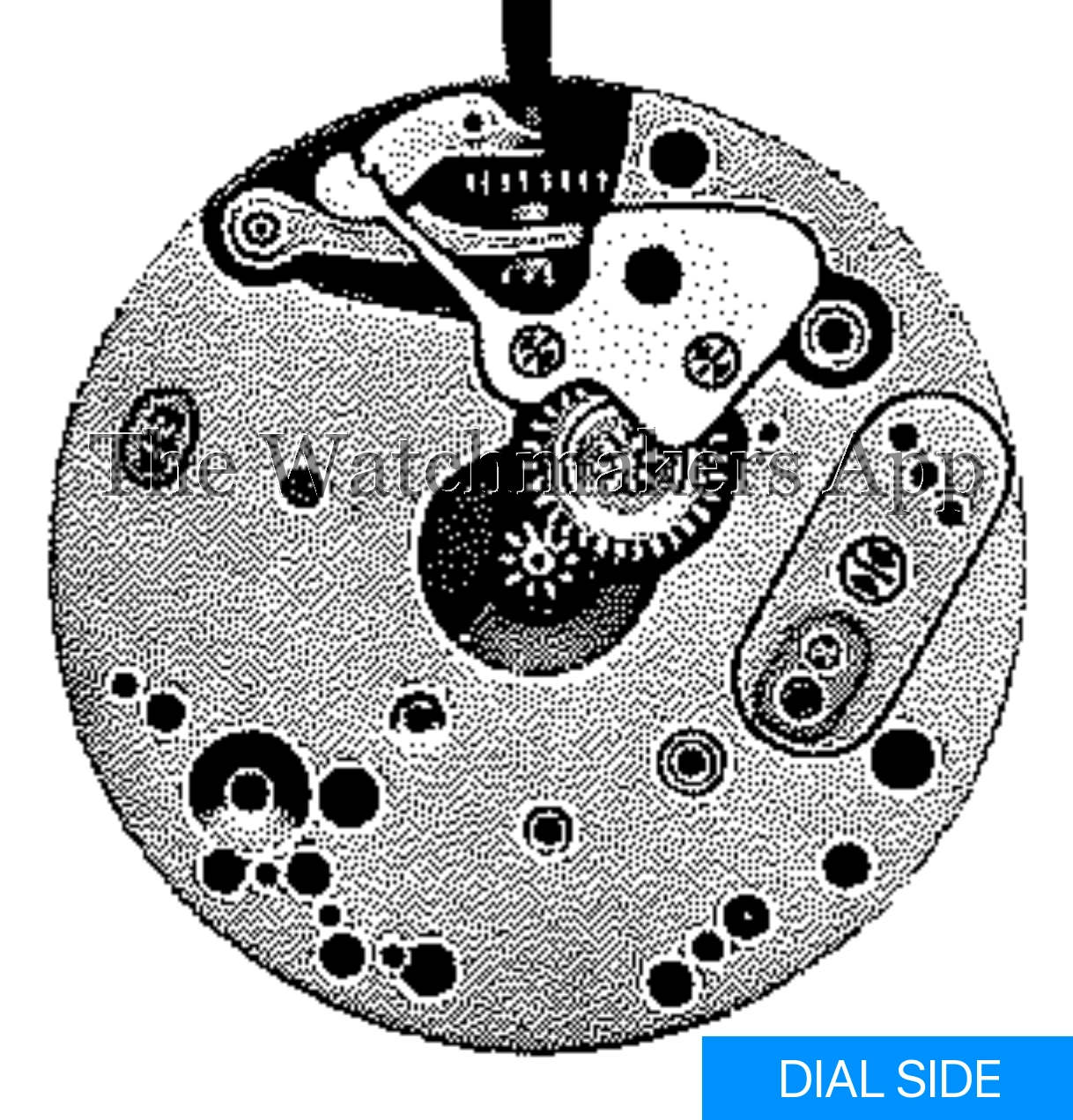 ETA 295
