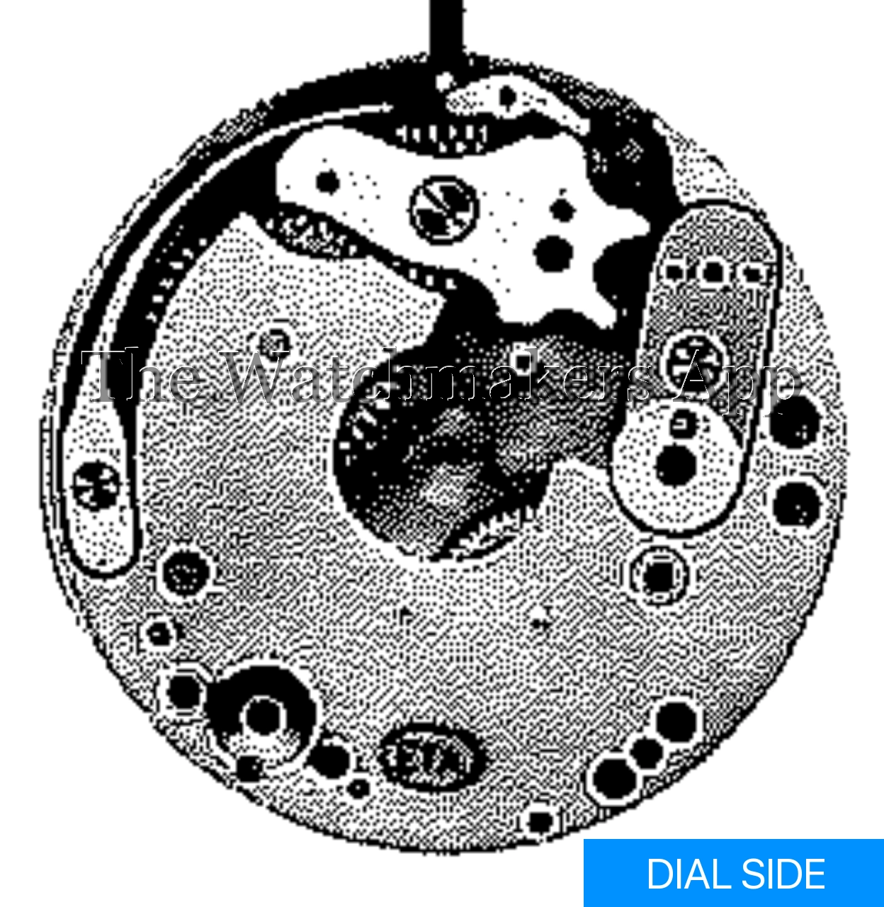 ETA 355