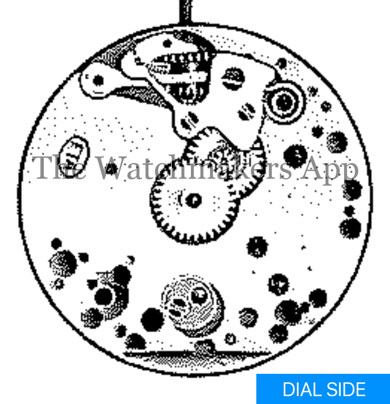 ETA 505