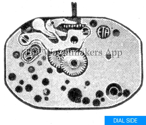 ETA 879