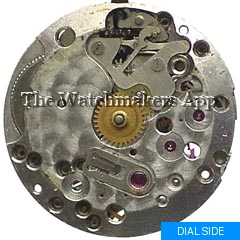 Eterna 1031H