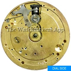 Eterna 19''', H6.5