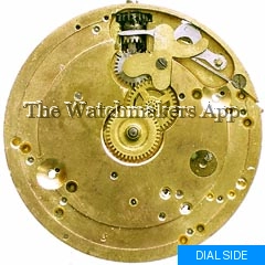 Eterna 35L