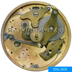 Eterna 51
