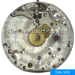 Eterna 600