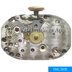 Eterna 615