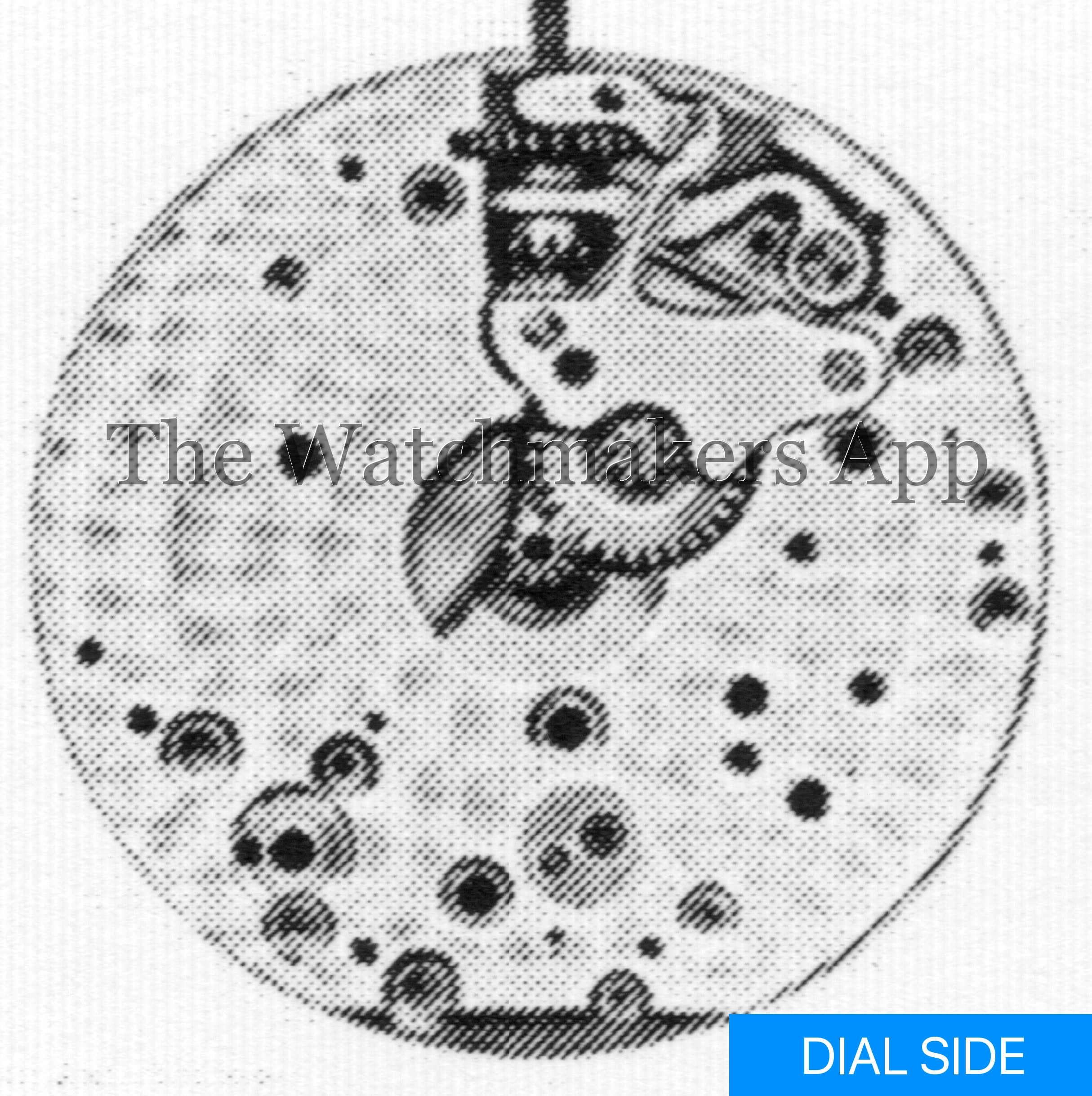 Felsa 144